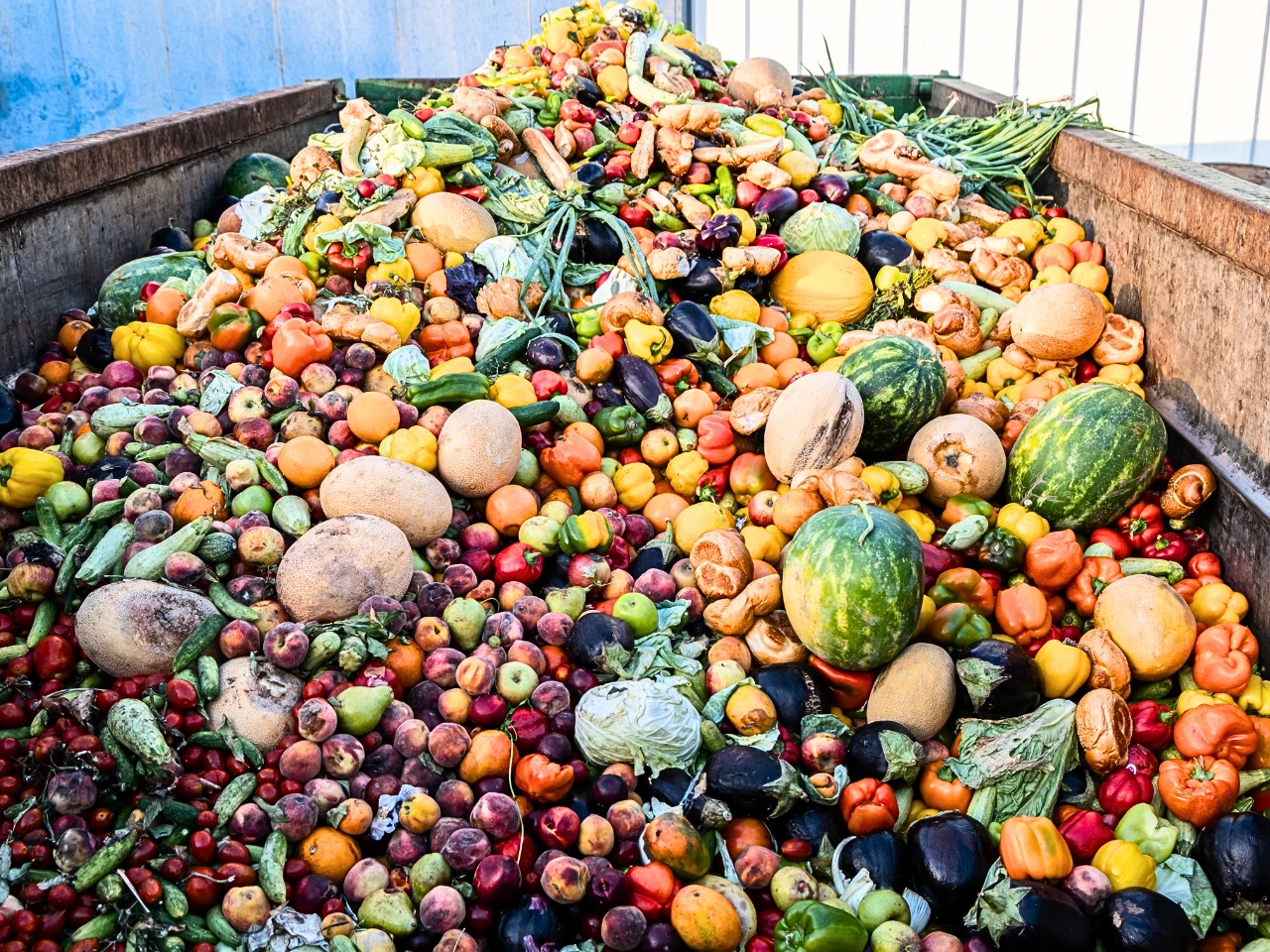 The image represent the fruits and vegitable waste