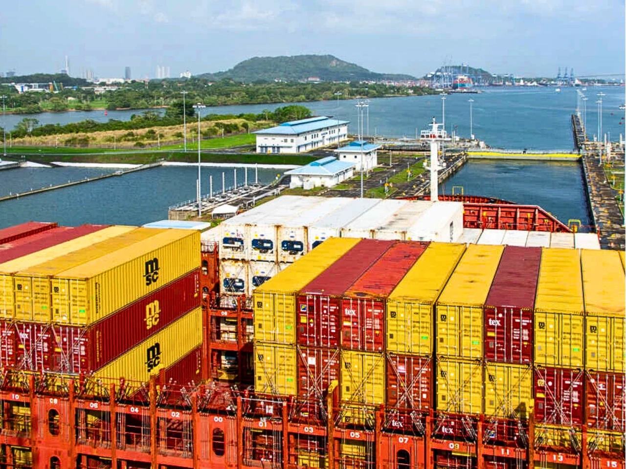 Global Liner Shipping
