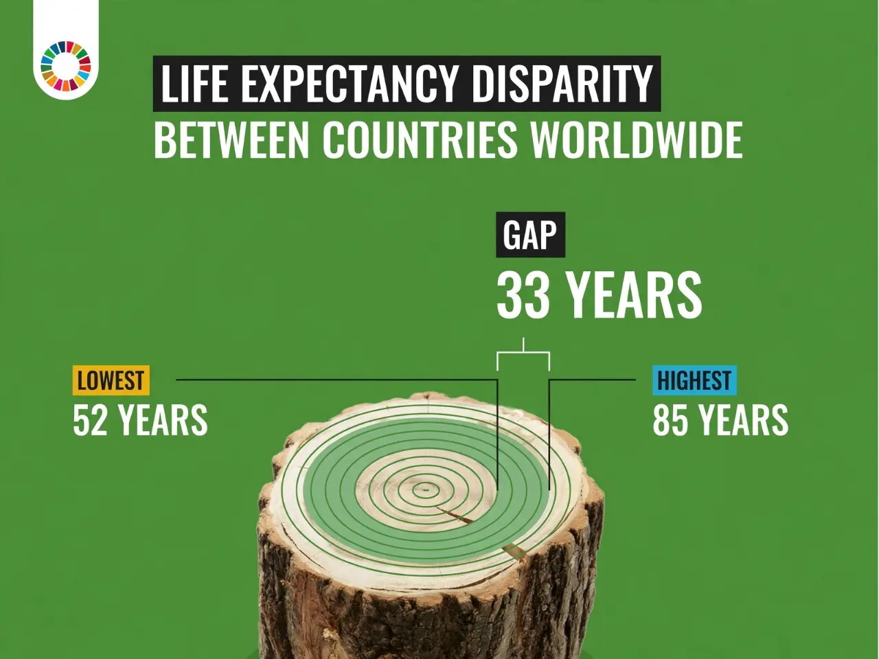 Life expectancy disparity between countries worldwide showing 33 years gap - lowest 52 years vs highest 85 years, tree stump cross-section with growth rings representing global health inequality