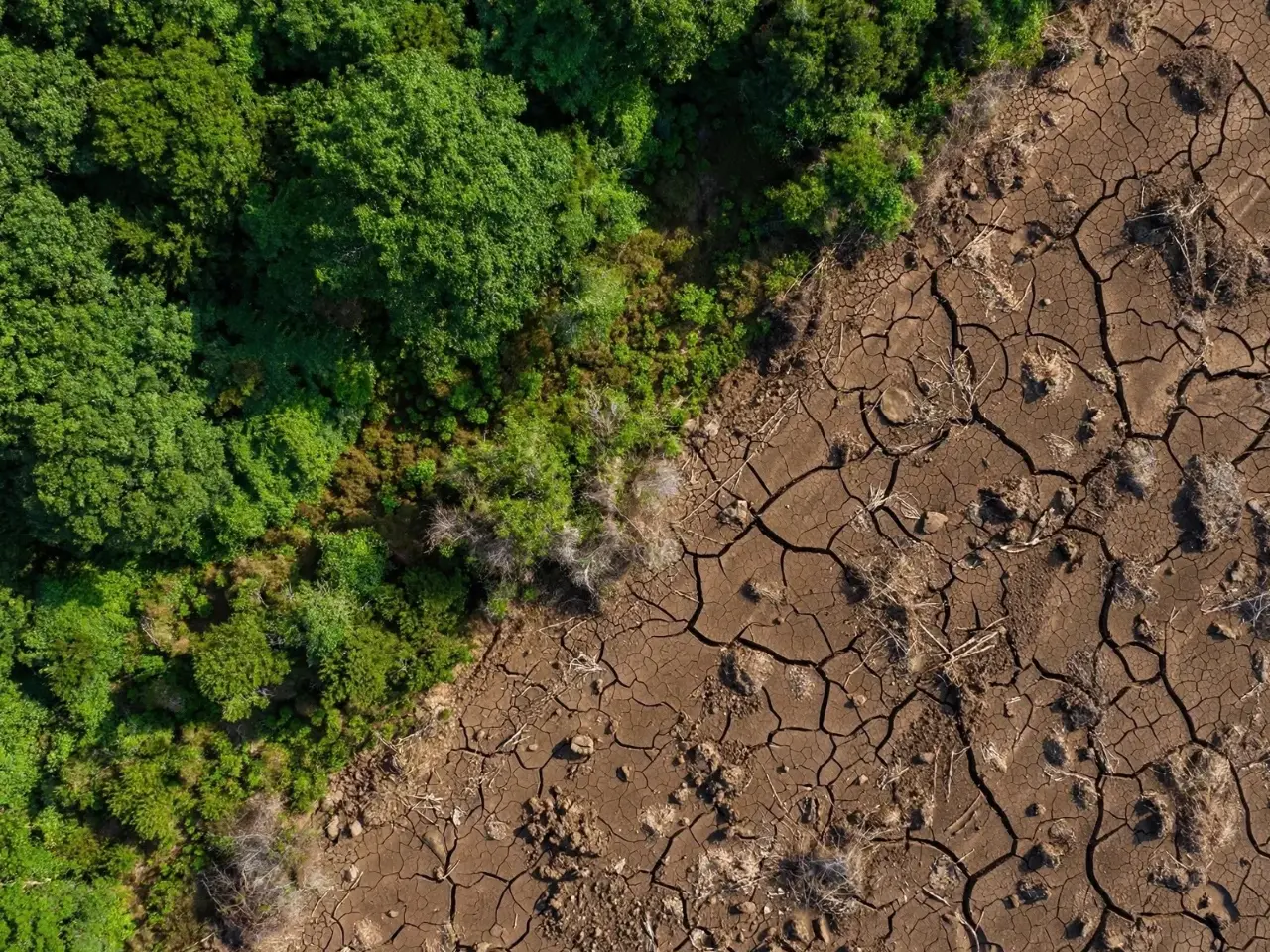 Infographic from FAO The State of World's Forests 2026 report showing more than 10 percent world land area degraded including 1040 million hectares agricultural land 460 million hectares forest land 160 million hectares other land
